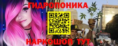 мдпв Можга