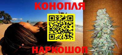 мдпв Можга