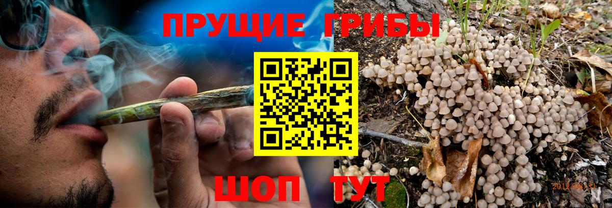 Сертолово  Псилоцибиновые грибы Magic Shrooms  купить   Вход с VPN 