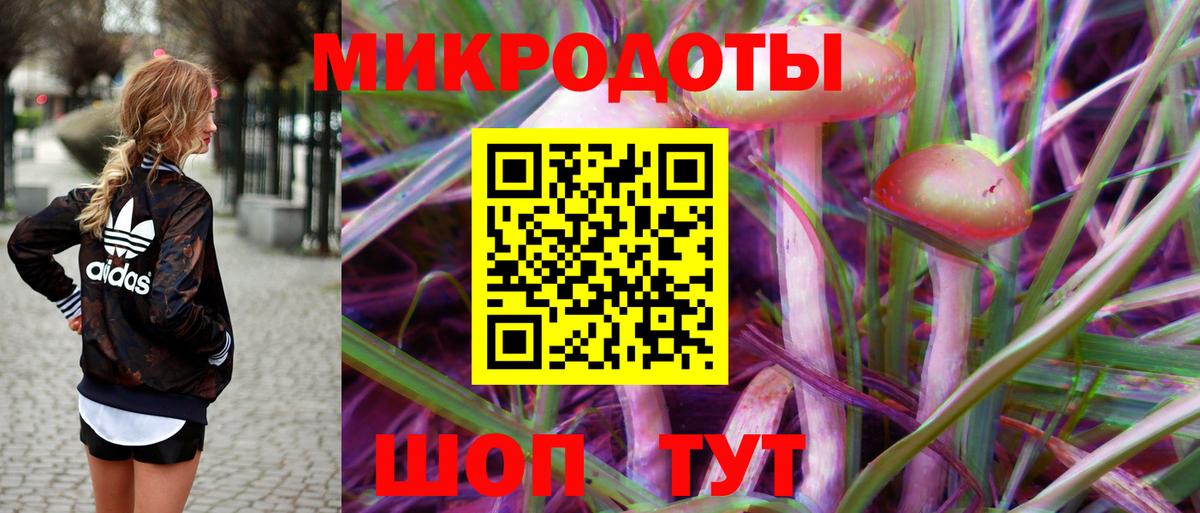 Псилоцибиновые грибы мухоморы Сертолово